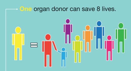 Organ donation essay persuasive