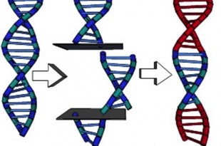 Biotechnology